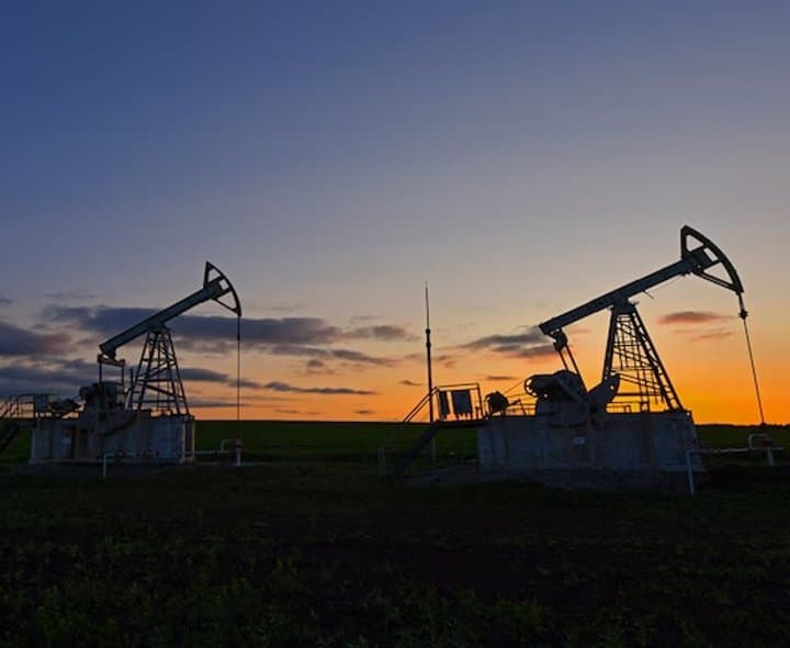 Panel urges faster strategic reserves, overseas energy push - The Startups